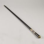 1727 7396 Spatserkäpp